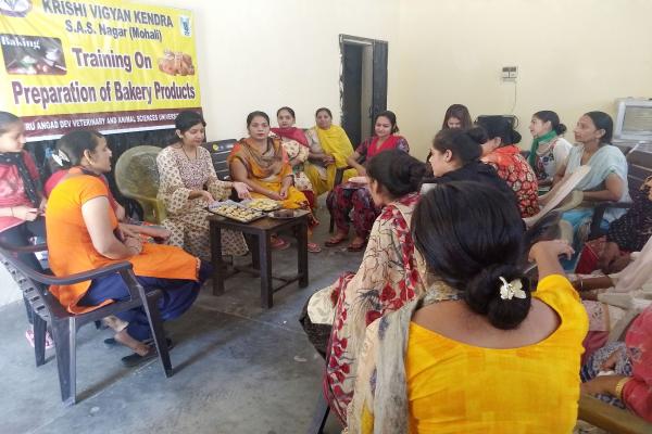 KVK Mohali organizes one week vocational training on bakery products